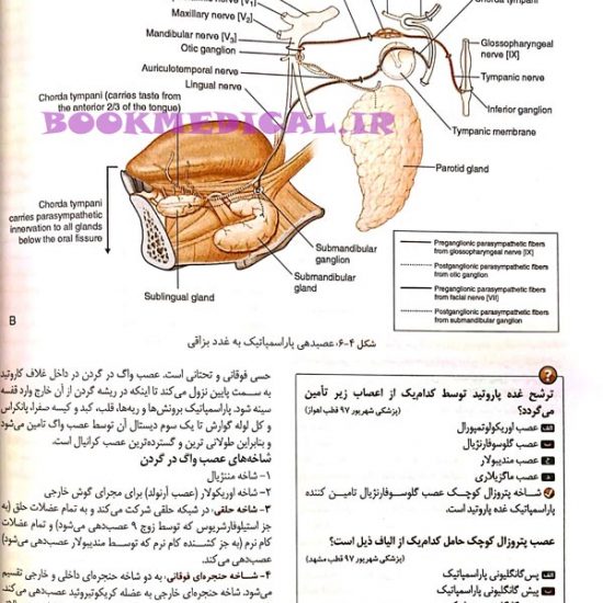 درسنامه علوم پایه پزشکی و دندانپزشکی - آناتومی
