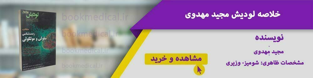 بهترین کتاب خلاصه لودیش 2021 | مهدوی، مرادی، محمدنژاد، ابرقویی، عباس بهادر کدامیک؟